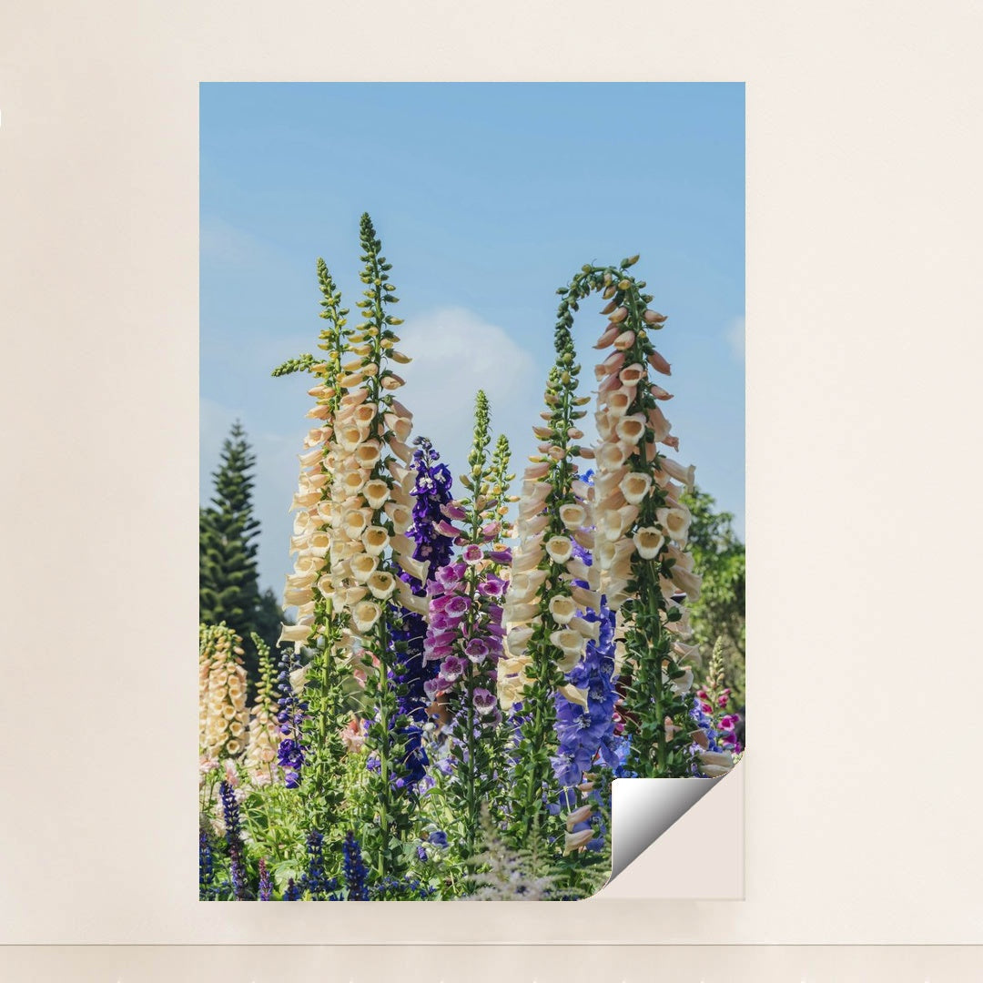 Vibrant Foxglove Blooms in Sunlit Garden by Orange Ocean - Peeliez