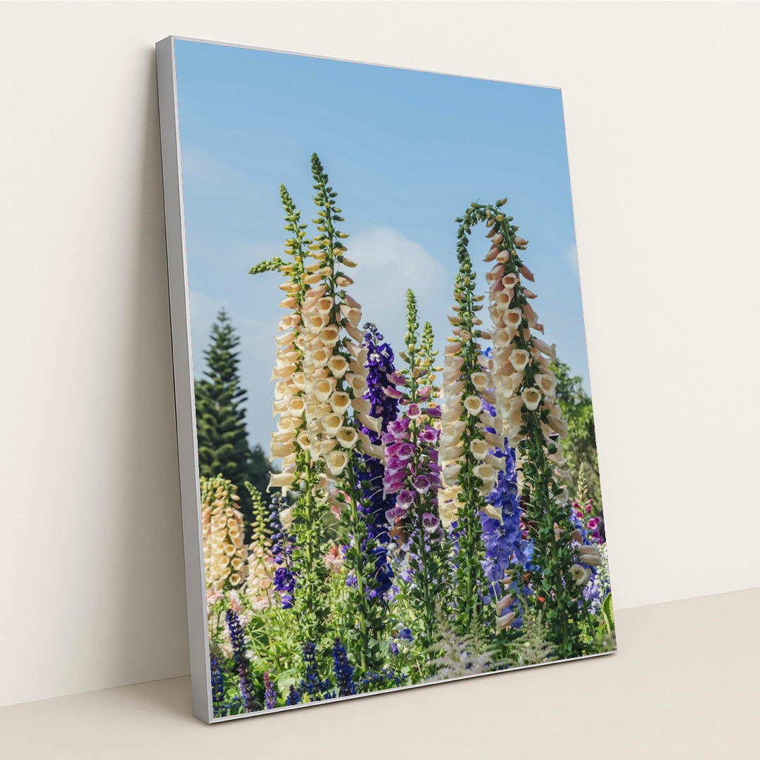 Vibrant Foxglove Blooms in Sunlit Garden by Orange Ocean - Silver Frame Stretchiez