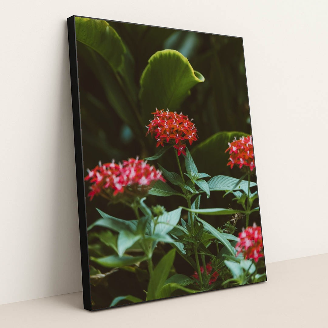 Vibrant Tropical Blooms in Greenery by Jess Loiterton - Black Frame Stretchiez