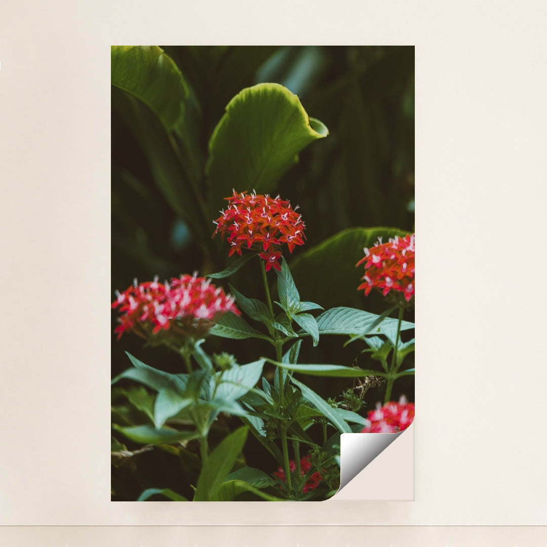 Vibrant Tropical Blooms in Greenery by Jess Loiterton - Peeliez