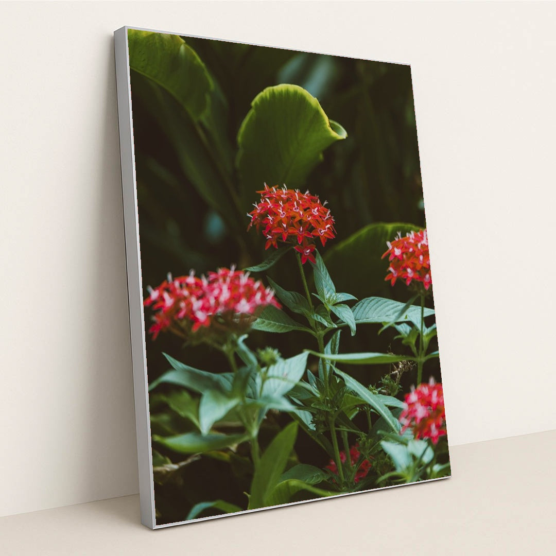 Vibrant Tropical Blooms in Greenery by Jess Loiterton - Silver Frame Stretchiez