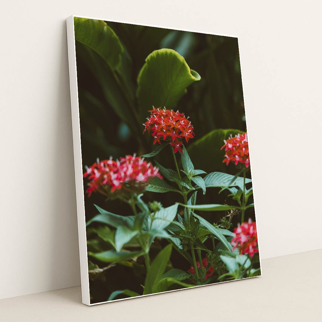 Vibrant Tropical Blooms in Greenery by Jess Loiterton - White Frame Stretchiez