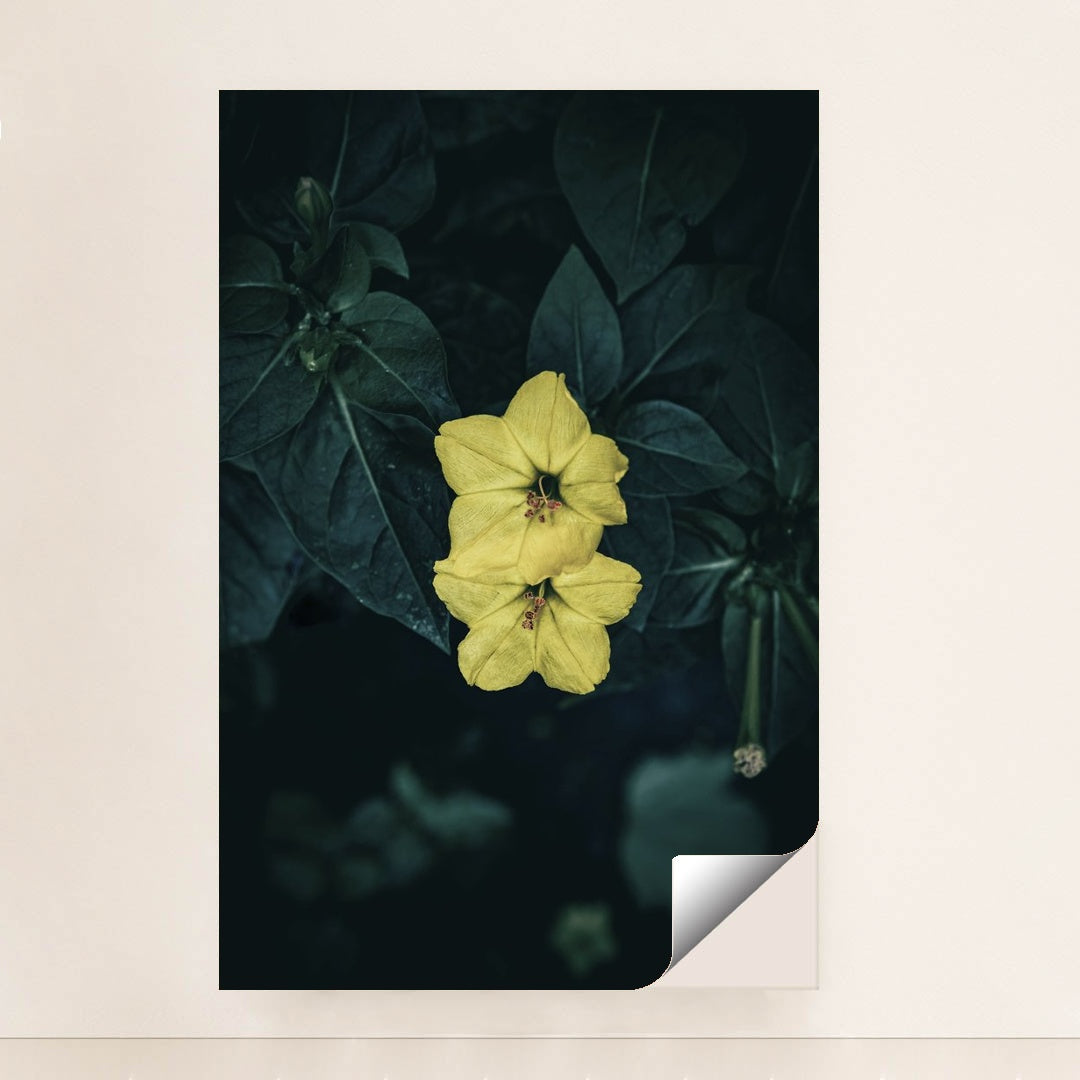 Vibrant Marvel of Peru Flowers by Wyxina Tresse - Peeliez