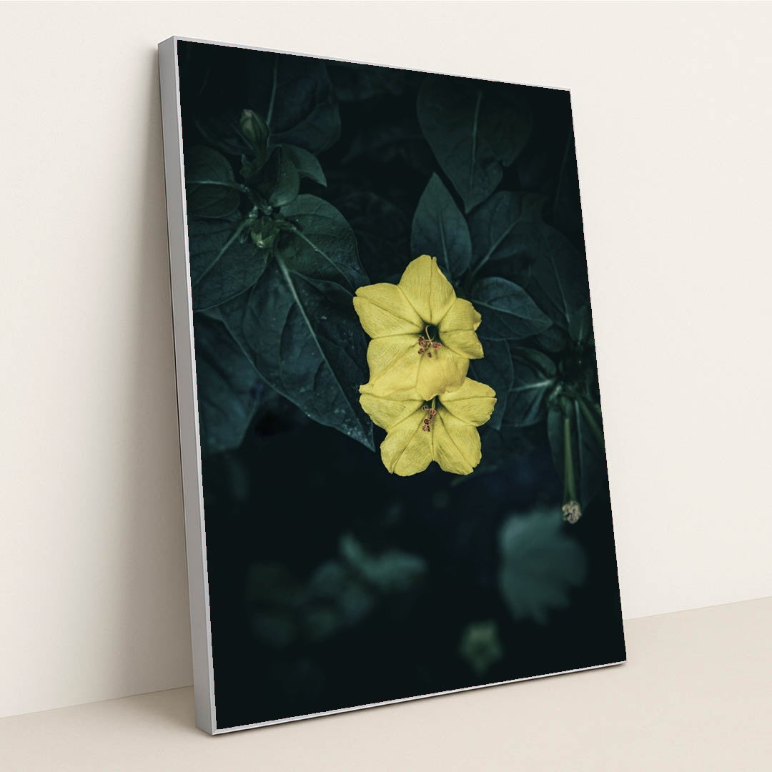 Vibrant Marvel of Peru Flowers by Wyxina Tresse - Silver Frame Stretchiez
