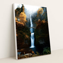 6336 - Product Image