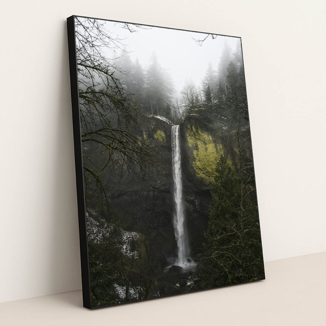 Tall Cascade Waterfall Amid Mossy Cliffs and Pine Trees in Mist by Troy Squillaci - Black Frame Stretchiez