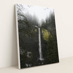 Tall Cascade Waterfall Amid Mossy Cliffs and Pine Trees in Mist by Troy Squillaci - White Frame Stretchiez