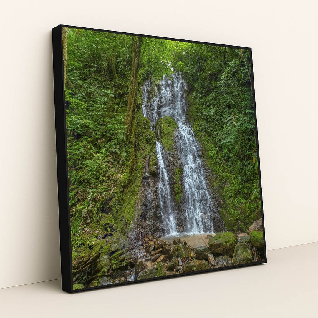 Cascading Waterfall with Mossy Rocks in Dense Tropical Jungle by Enrique Hidalgo - Black Frame Stretchiez