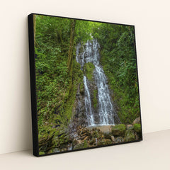 Cascading Waterfall with Mossy Rocks in Dense Tropical Jungle by Enrique Hidalgo - Black Frame Stretchiez