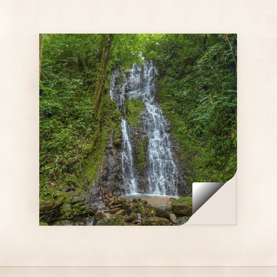 Cascading Waterfall with Mossy Rocks in Dense Tropical Jungle by Enrique Hidalgo - Peeliez