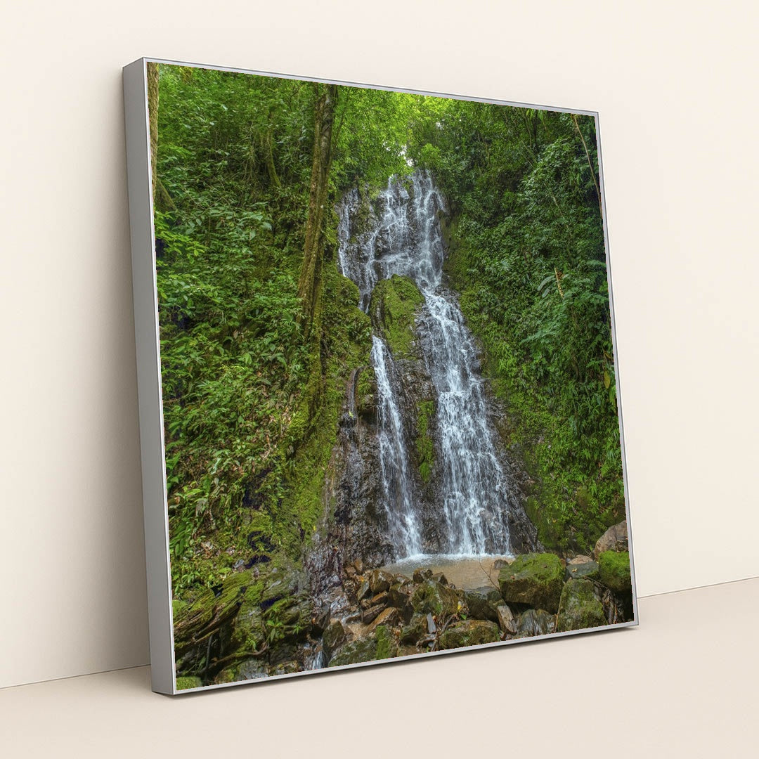 Cascading Waterfall with Mossy Rocks in Dense Tropical Jungle by Enrique Hidalgo - Silver Frame Stretchiez