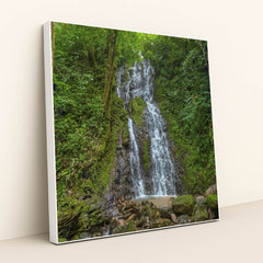 Cascading Waterfall with Mossy Rocks in Dense Tropical Jungle by Enrique Hidalgo - White Frame Stretchiez