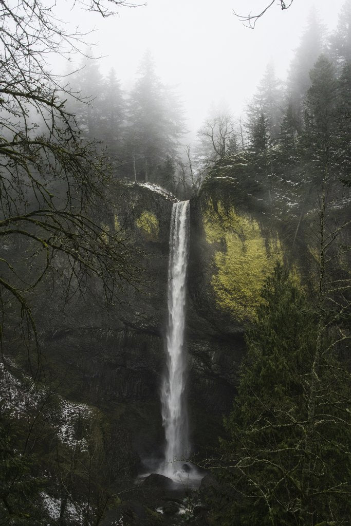 Troy Squillaci - A waterfall cascades down a cliff surrounded by a foggy forest, creating a serene natural scene.