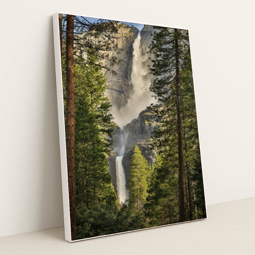 7077678645283 - Product Image