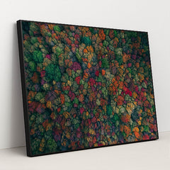 When Trees Remember Summer by Martin Sanchez - Black Frame Stretchiez