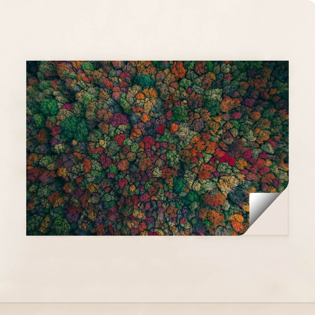 When Trees Remember Summer by Martin Sanchez - Peeliez