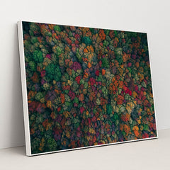 When Trees Remember Summer by Martin Sanchez - White Frame Stretchiez