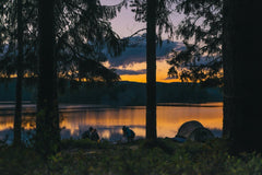 Where the Light Sleeps by Andreas Ronningen