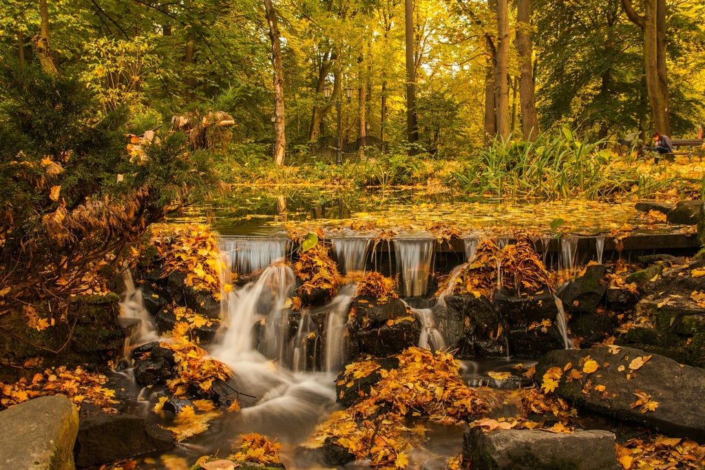 Whispering Falls by Dawid Zawiła