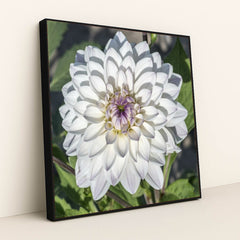 7090290688035 - Product Image