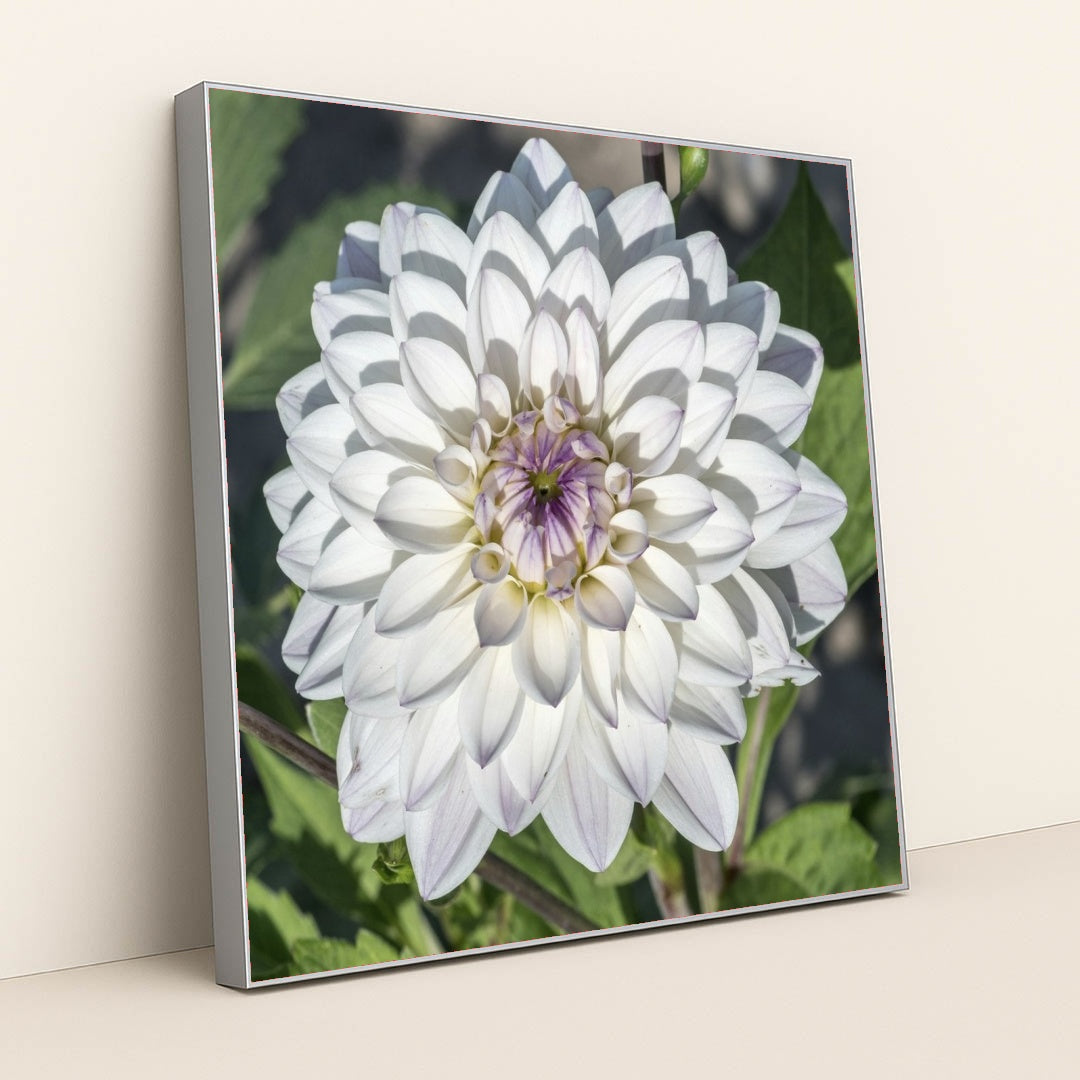 7090290688035 - Product Image