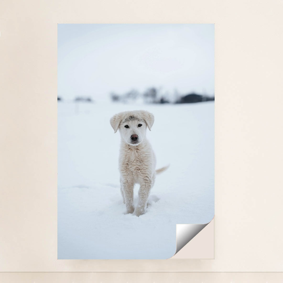 7090337120291 - Product Image