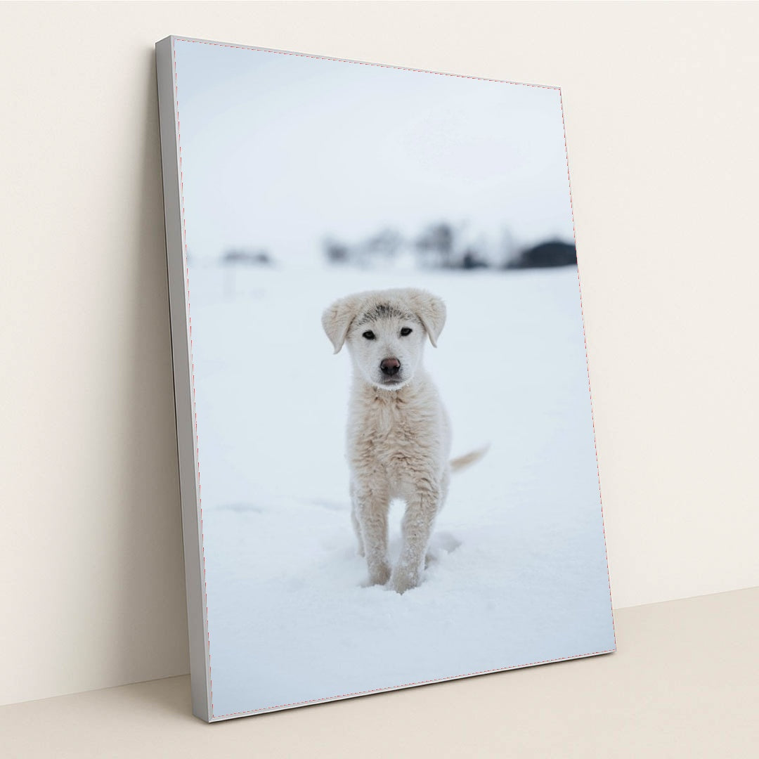 7090337120291 - Product Image