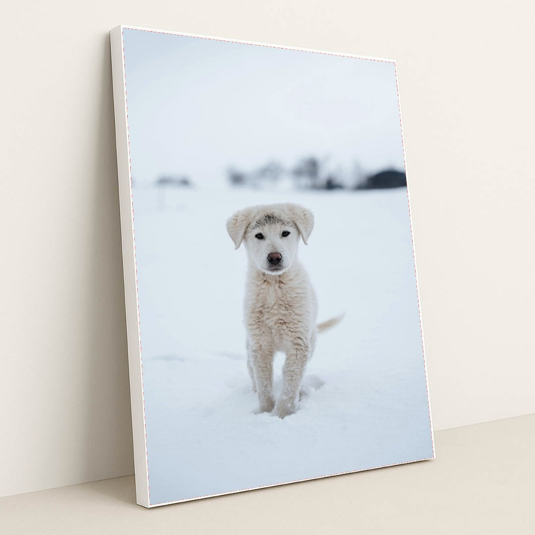 7090337120291 - Product Image