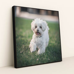 7090329288739 - Product Image