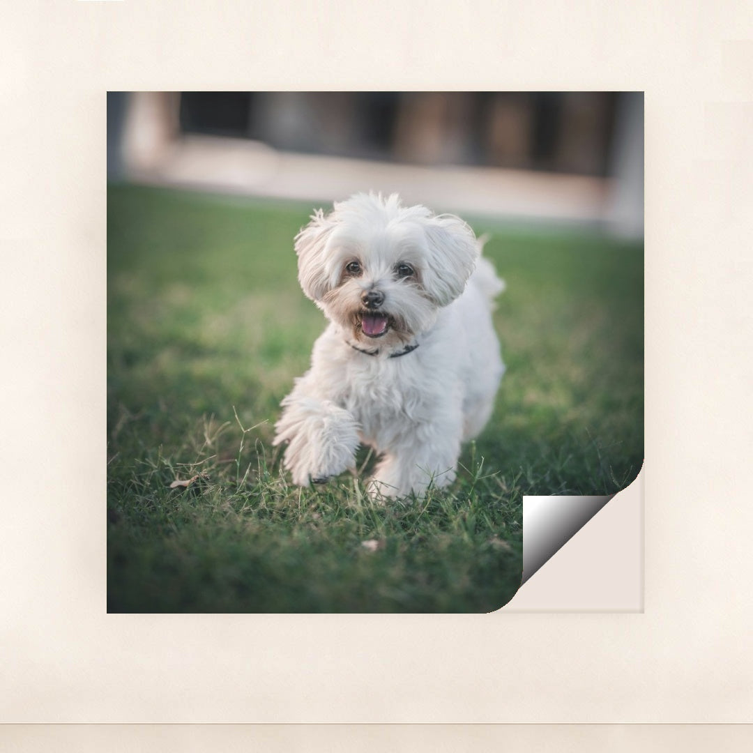 7090329288739 - Product Image