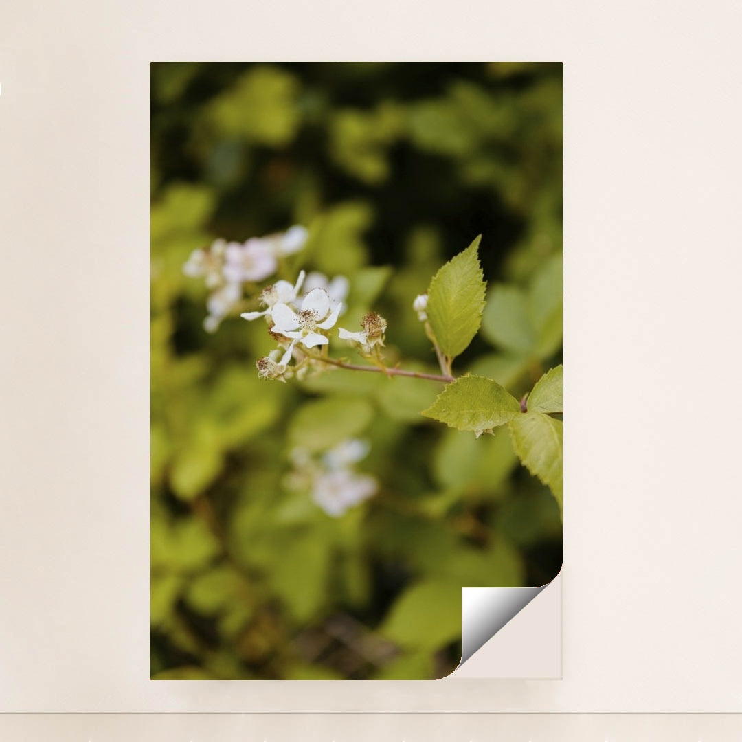 7090290950179 - Product Image