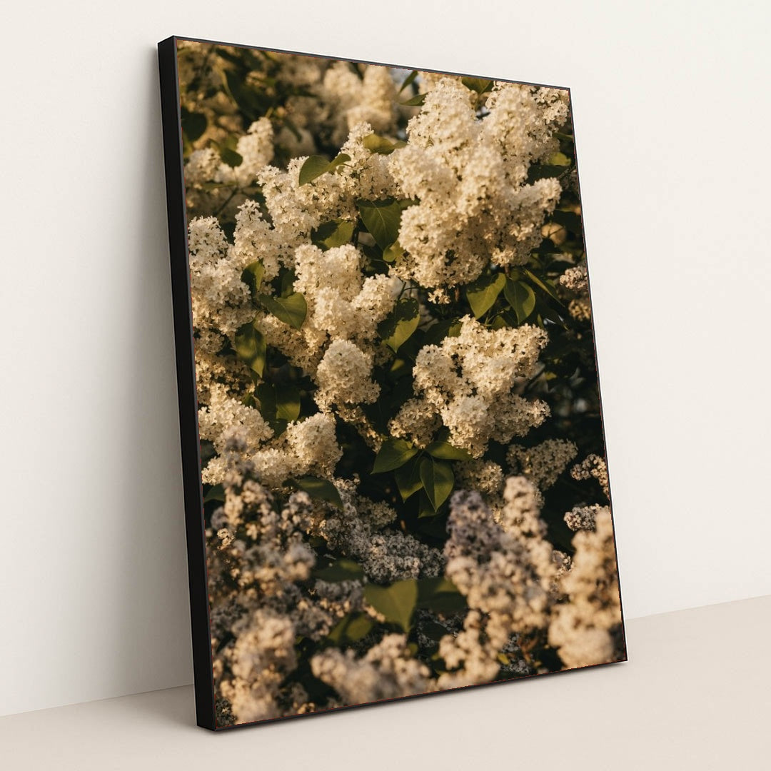 7090341707811 - Product Image