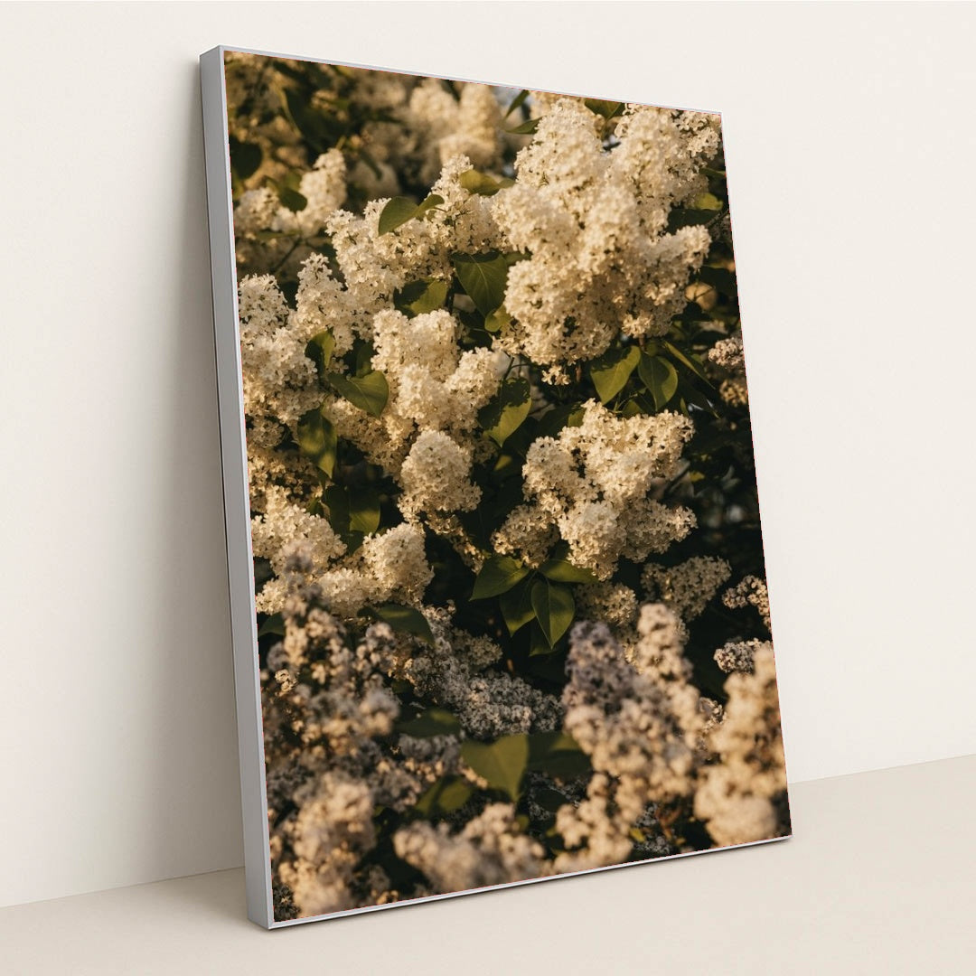 7090341707811 - Product Image