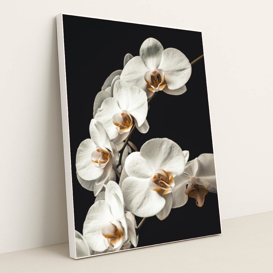 7090256379939 - Product Image