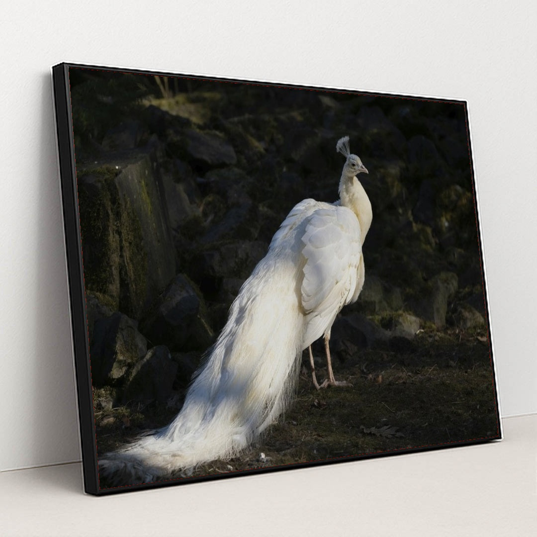 7090368970787 - Product Image