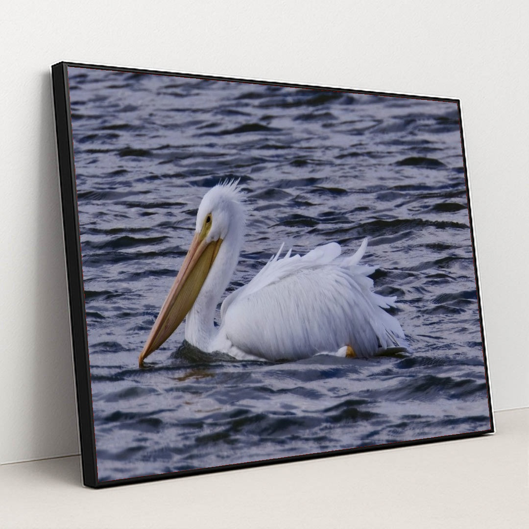 7090340233251 - Product Image