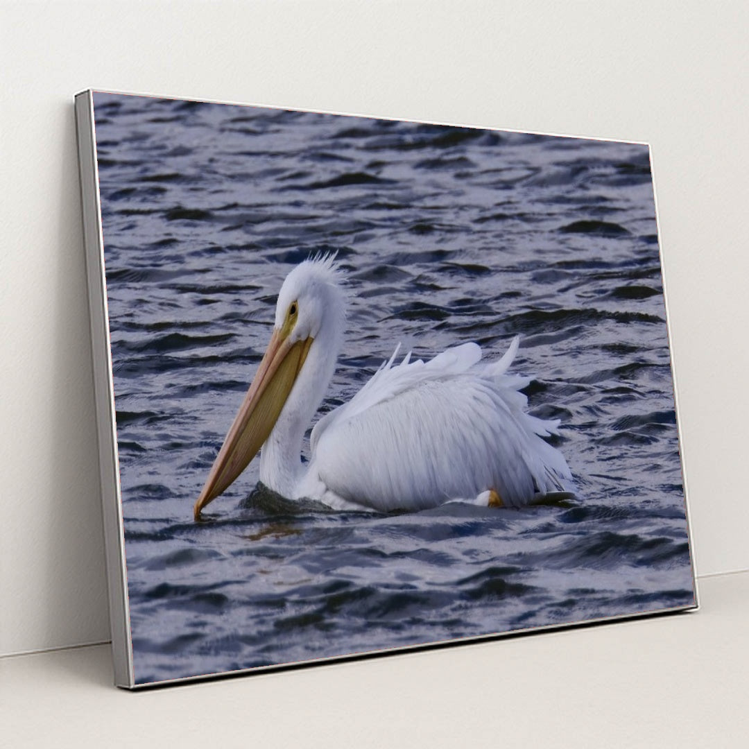 7090340233251 - Product Image