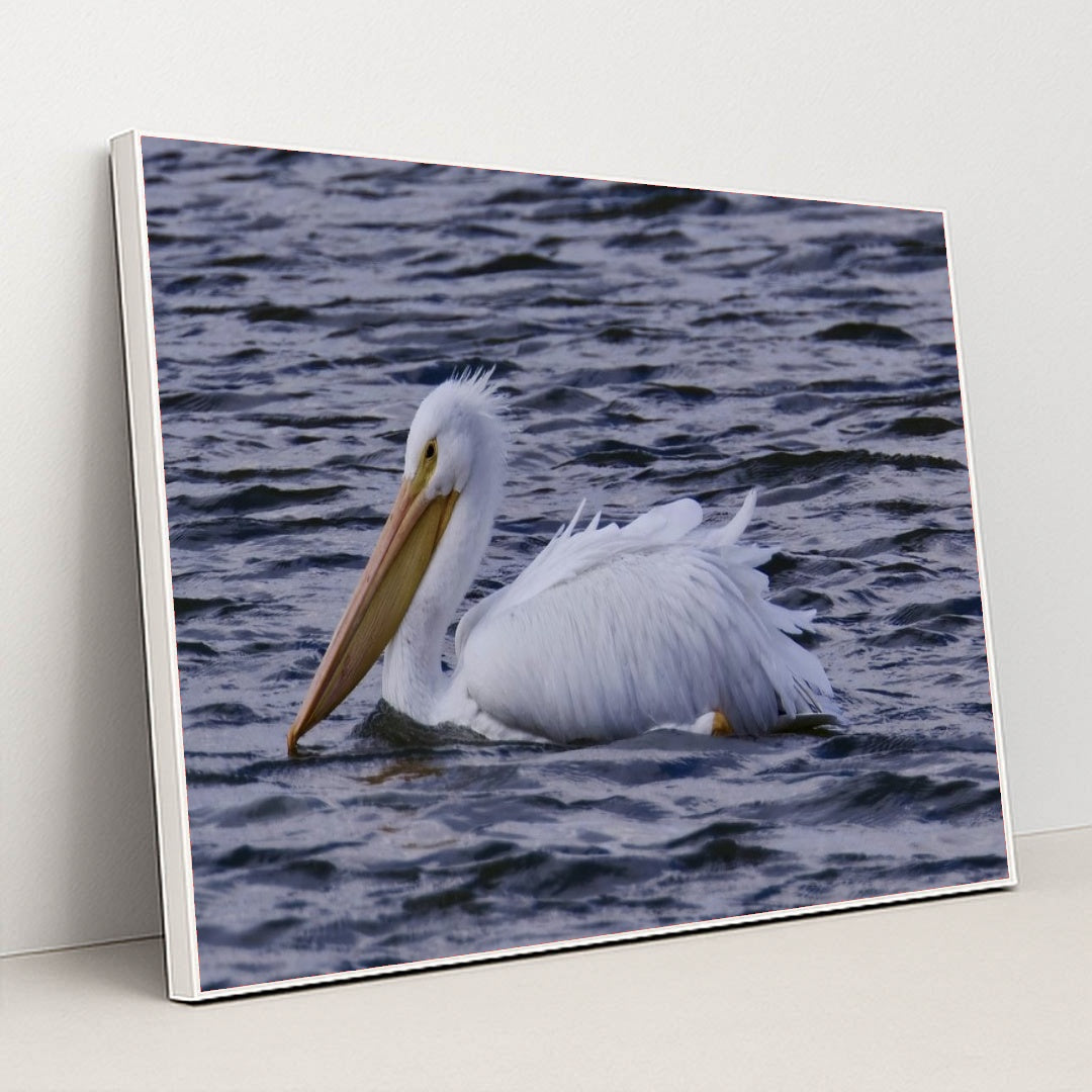 7090340233251 - Product Image