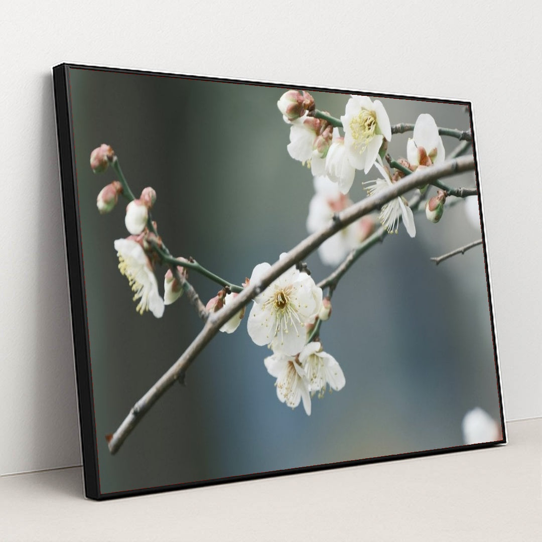 7090287607843 - Product Image