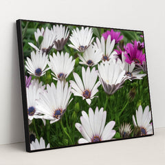 7090347966499 - Product Image