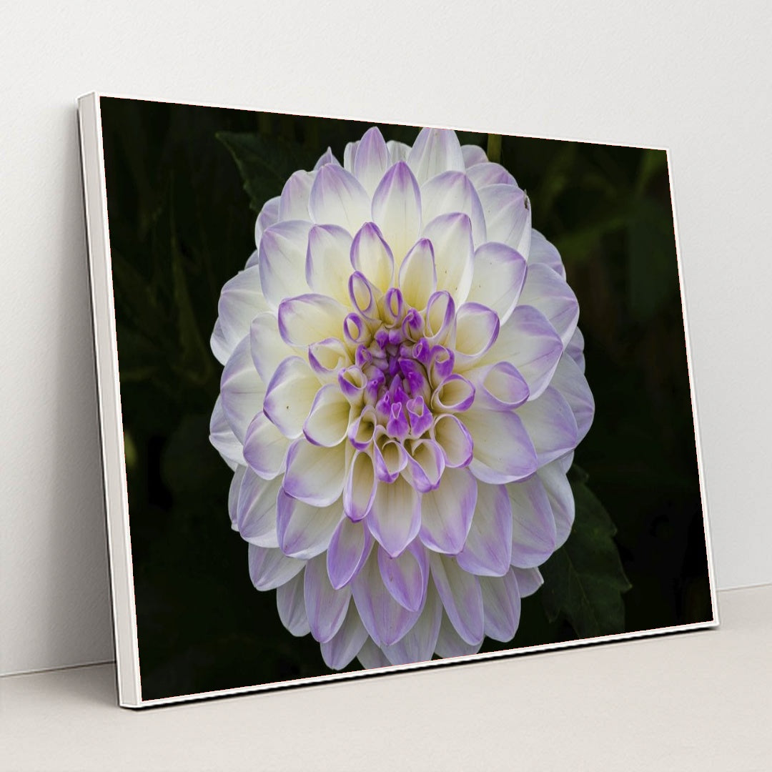 7090298224675 - Product Image