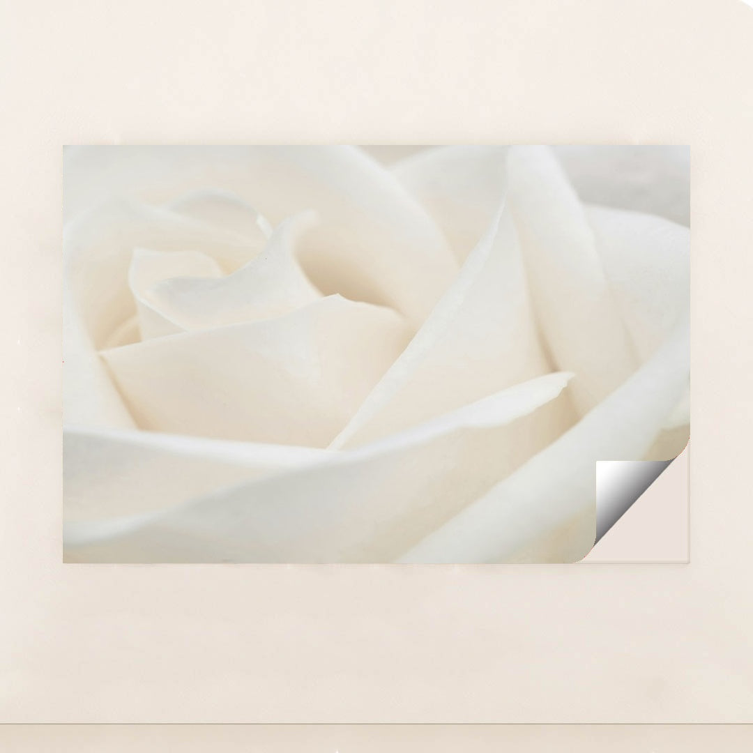 7090291900451 - Product Image