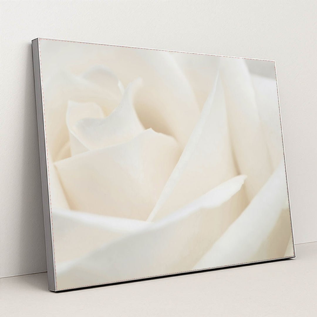 7090291900451 - Product Image