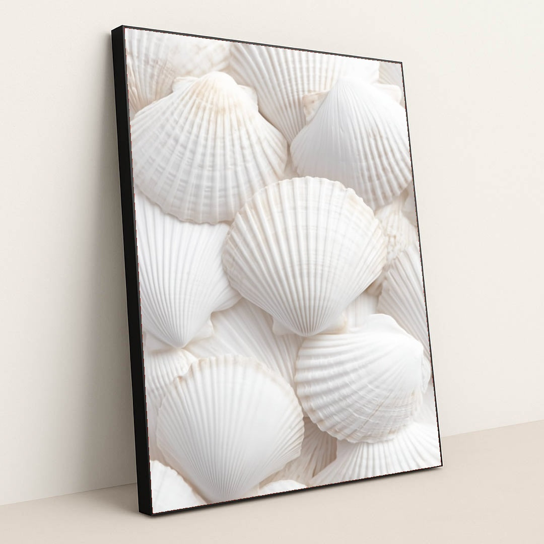 This artwork shows an arrangement of white scallop shells layered in a soft, airy composition, in a black frame.