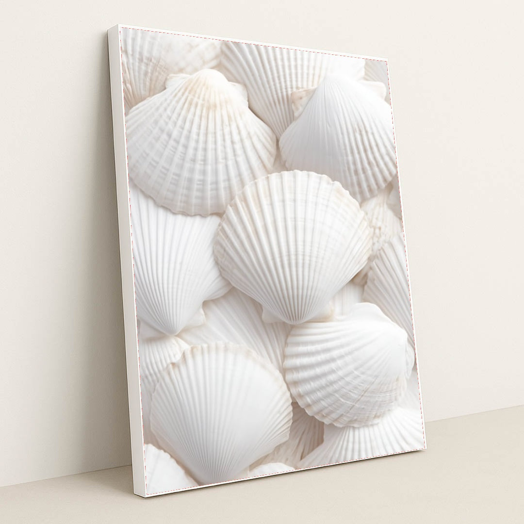 This artwork shows an arrangement of white scallop shells layered in a soft, airy composition, in a white frame.