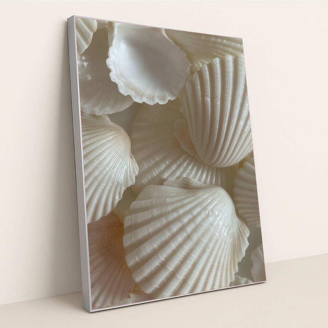This artwork features an arrangement of white clam shells with ribbed textures, in a silver frame.