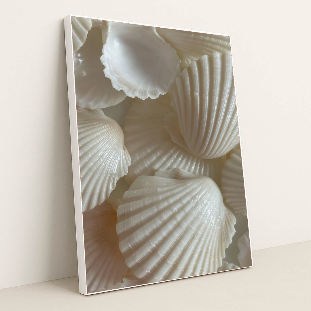 This artwork features an arrangement of white clam shells with ribbed textures, in a white frame.