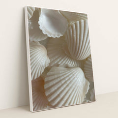 This artwork features an arrangement of white clam shells with ribbed textures, in a white frame.