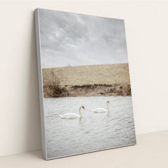 Two White Swans Swimming in a Calm River Near Grassy Bank by Yuliia Patrikhalkina - Silver Frame Stretchiez