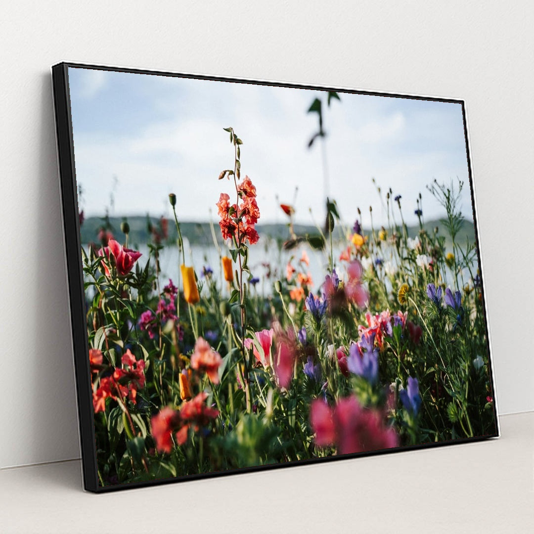 Wildflower Meadow by the Water by Elisabeth Jurenka - Black Frame Stretchiez